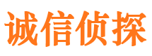 陈仓调查事务所